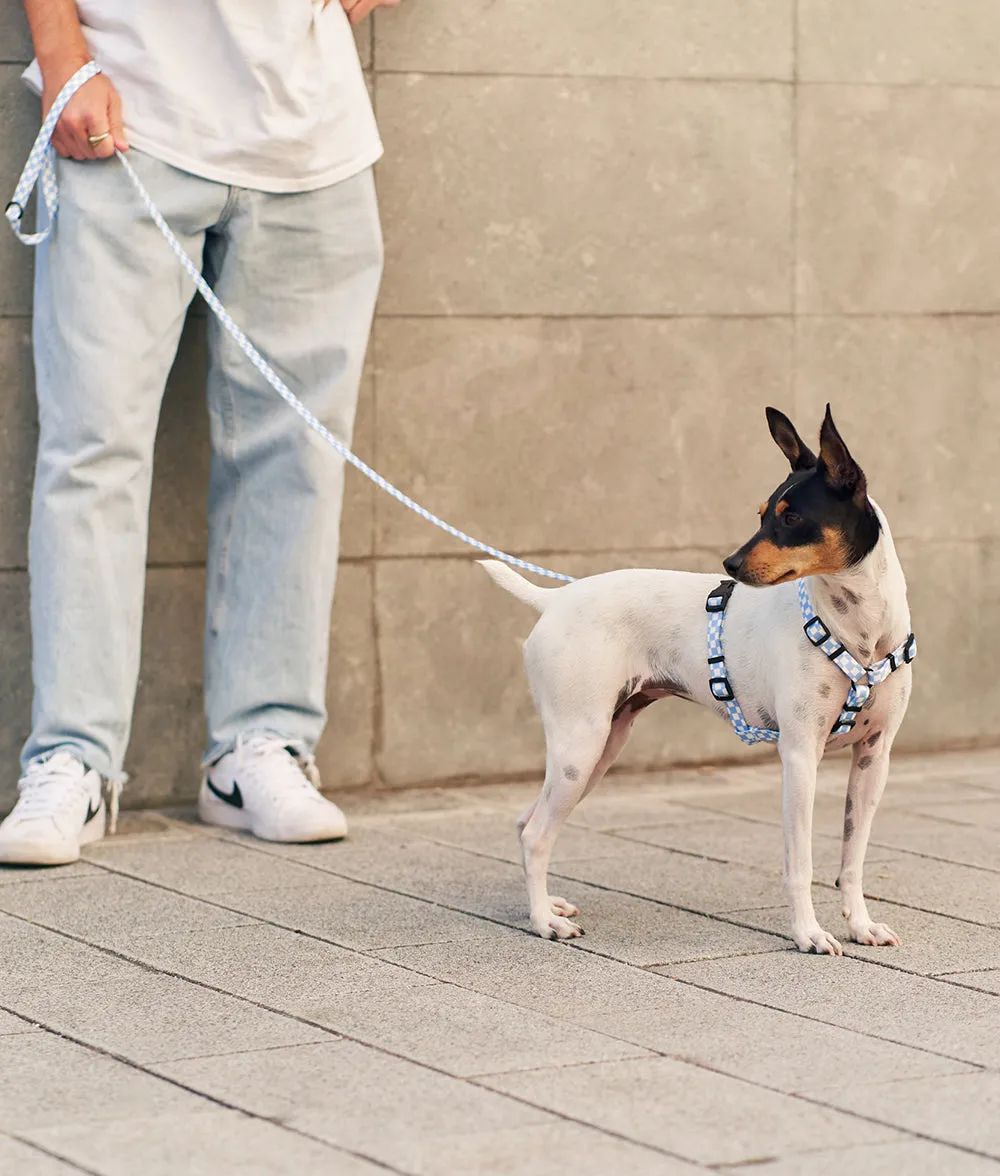 Arnés PET Reciclado Diseño Vichy Azul, Juno