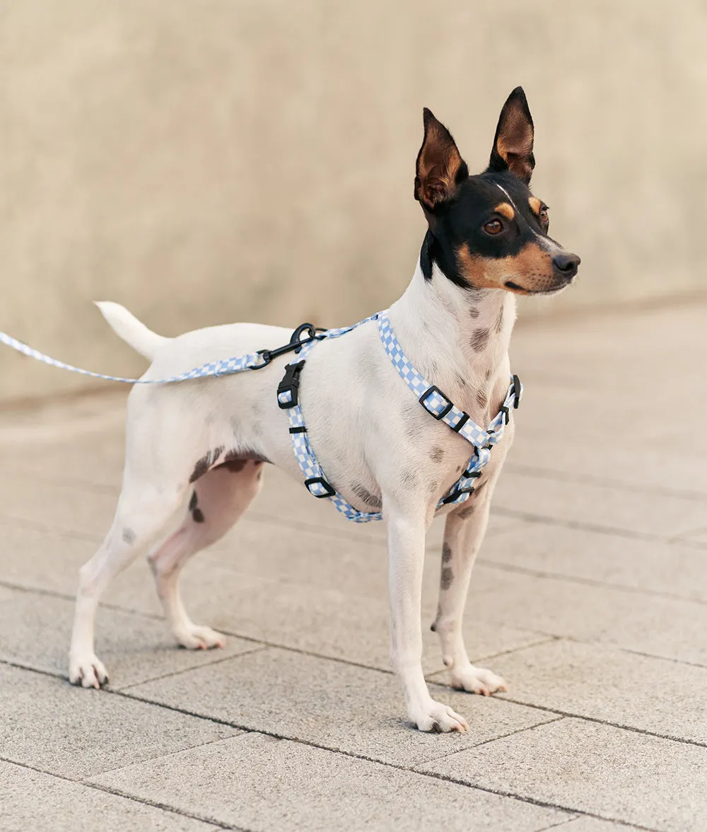 Arnés PET Reciclado Diseño Vichy Azul, Juno