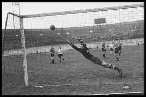 De Zwaluwen - Rode Duivels '54