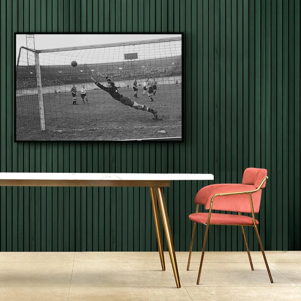 De Zwaluwen - Rode Duivels '54