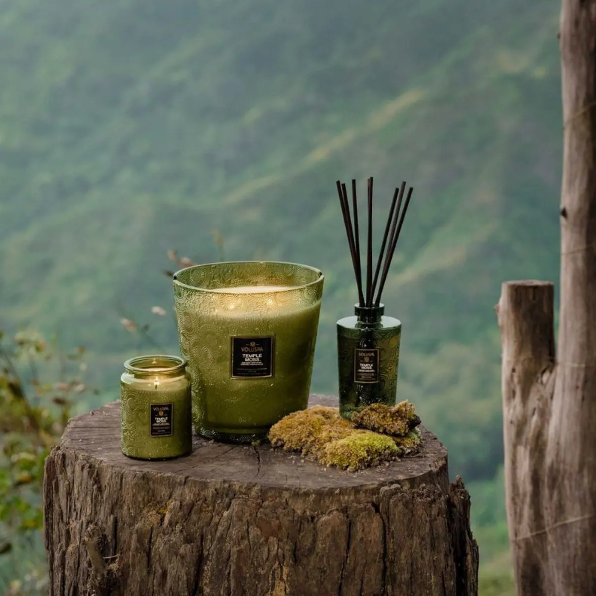 Temple Moss Luxe Reed Diffuser